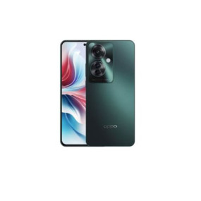 رينو 11F 5G شريحتين أخضر بالم 8 جيجا رام 256 جيجا.